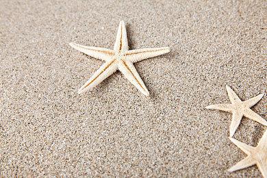 2D像素风地下城RPG游戏《新月之塔》将在今年登录PC平台